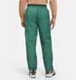 Штаны мужские Air Jordan Sport Dna Green DC9674-333