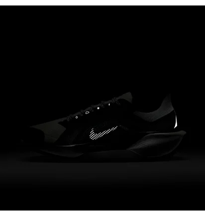 Кроссовки женские Nike Pegasus Gore-Tex Black/Grey FQ1357-002