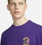 Футболка мужская Nike Dri-Fit Training T-Shirt Violet FD0138-547