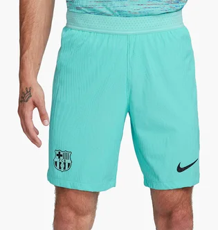 Шорты мужские Nike Shorts Fcb M Nk Dfadv Match Short 3R 2023/24 Turquoise DX9768-486