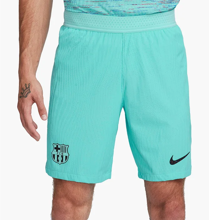 Шорты мужские Nike Shorts Fcb M Nk Dfadv Match Short 3R 2023/24 Turquoise DX9768-486