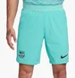 Шорты мужские Nike Shorts Fcb M Nk Dfadv Match Short 3R 2023/24 Turquoise DX9768-486