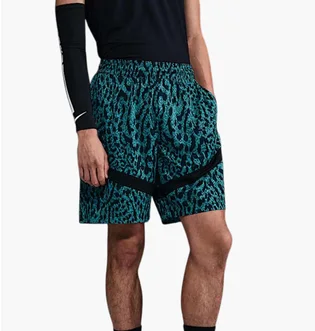 ᐉ Шорты мужские Nike Icon Dri-Fit Turquoise HM9213-345 - купить в