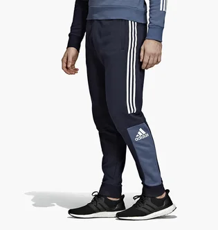 Штаны мужские Adidas Sid Pnt Brnd Black EB7593