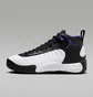 Кросівки чоловічі Air Jordan Jumpman Pro Shoes White/Black DN3686-105