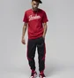 Футболка чоловіча Air Jordan T-Shirt Flight Mvp Red FN5958-687