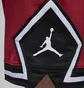 Шорти унісекс Air Jordan Dri-Fit Sport Red Dx1487-687
