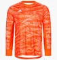 Лонгслив мужской Adidas Adipro 18 Jersey Orange DP3136-OR