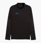 Кофта мужская Puma Individualcup Black 660246-07