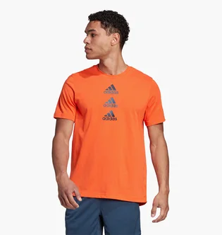 Футболка чоловіча Adidas Designed To Move Logo Tee Orange Hm4802