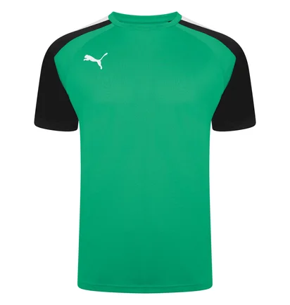 Футболка мужская Puma Teampacer Jersey Green 704919-05