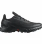 Кроссовки мужские Salomon Alphacross 5 Black 473131