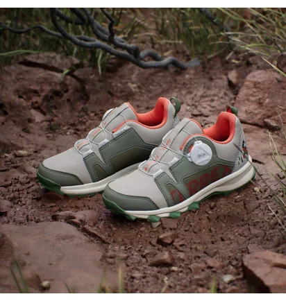 Кроссовки детские Adidas Terrex Disney Agravic Boa Terrex Grey/Olive ID3448