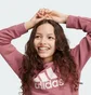 Світшот дитячий Adidas Essentials Big Logo Violet IZ3434
