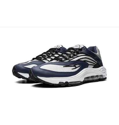 Кросівки чоловічі Nike Air Tuned Max Grey/Blue DH4793-400