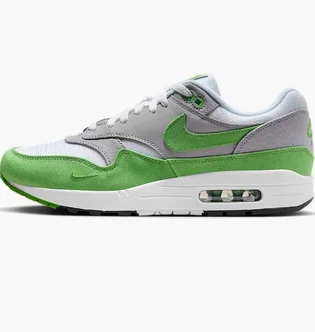 Кроссовки мужские Nike Air Max 1 Patta 20Th Grey/Green HF1012-300