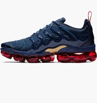 Кросівки чоловічі Nike Air Vapormax Plus Blue 924453-405