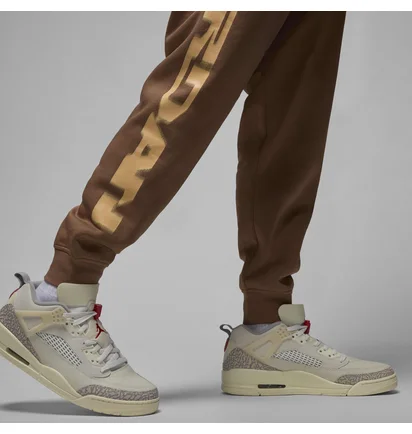 Штаны мужские Air Jordan M Mvp Hbr Flc Brown FV7229-223