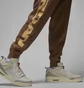 Штаны мужские Air Jordan M Mvp Hbr Flc Brown FV7229-223