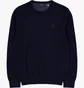 Світшот чоловічий Polo Ralph Lauren Textured Cotton Crewneck Sweater Blue 710918163001