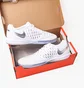 Футзалки чоловічі Nike Lunargato Ii Ic White 580456-105