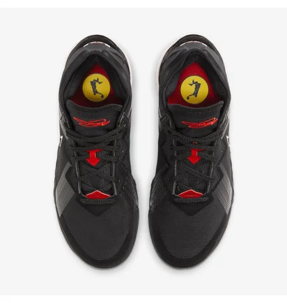 Кроссовки унисекс Nike Lebron Xviii Low Black CV7562-001