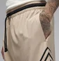 Шорти чоловічі Air Jordan Dri-Fit Sport Beige FB7580-244