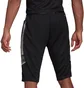 Шорты мужские Adidas Shorts Con21 1/2 Pnt Black GH7144
