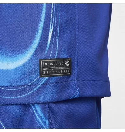 Футболка мужская Nike Fc Chelsea 2024/25 Stadium Home Replika Dri-Fit-Technologie Blue FN8779-496