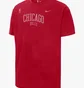 Футболка чоловіча Nike Chicago Bulls Courtside Max 90 MenS Nba T-Shirt Red DR6314-657