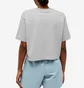 Футболка женская Air Jordan Boxy T-Shirt Grey DO5038-063