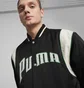 Бомбер мужской Puma Team Varsity Black 623691-01