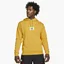 Худи мужское Air Jordan Essentials Yellow DA9816-713