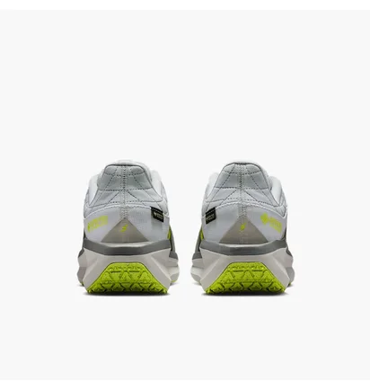 Кроссовки мужские Nike Winflo 11 Gore-Tex Grey FQ1358-005