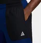 Штаны мужские Nike Acg Wolf Tree Plus Fleece Pants Black/Blue HJ2864-492