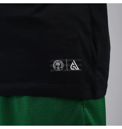 Футболка мужская Nike Giannis Logo Dri-Fit Black CV1091-010