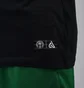 Футболка мужская Nike Giannis Logo Dri-Fit Black CV1091-010