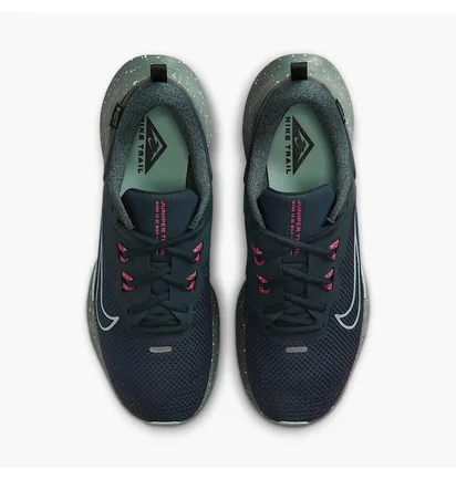 Кросівки чоловічі Nike Juniper Trail 2 Gtx V2 Blue HM9734-302
