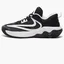 Кроссовки унисекс Nike Giannis Immortality 3 Black/White DZ7533-003
