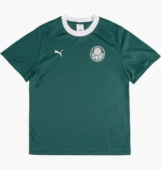Футболка чоловіча Puma X Palmeiras Sao Paulo Ringer Tee Green 629533-43