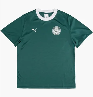 Футболка мужская Puma X Palmeiras Sao Paulo Ringer Tee Green 629533-43