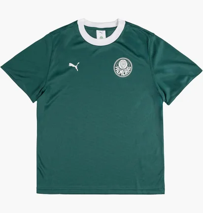 Футболка чоловіча Puma X Palmeiras Sao Paulo Ringer Tee Green 629533-43