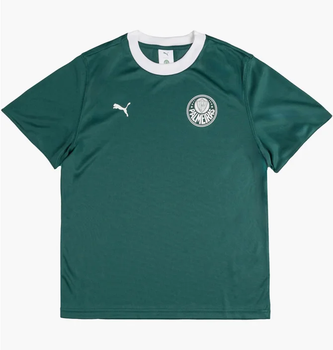 Футболка чоловіча Puma X Palmeiras Sao Paulo Ringer Tee Green 629533-43