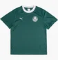 Футболка чоловіча Puma X Palmeiras Sao Paulo Ringer Tee Green 629533-43