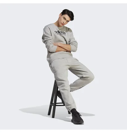 Свитшот мужской Adidas All Szn Fleece Graphic Sweatshirt Grey IC9823