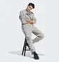 Свитшот мужской Adidas All Szn Fleece Graphic Sweatshirt Grey IC9823
