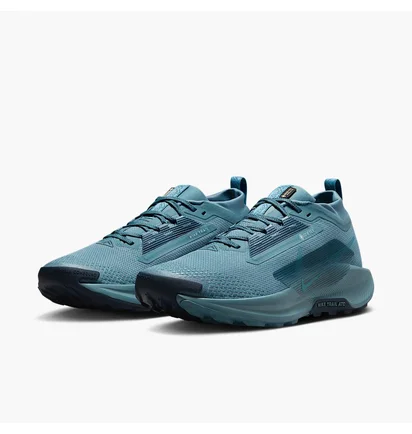 Кросівки чоловічі Nike Pegasus Trail 5 Gtx Blue FQ0908-005