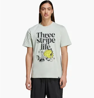 Футболка чоловіча Adidas Positivity Graphic Grey IY0731