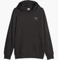 Худи мужское Puma Better Essentials Black 675978-01