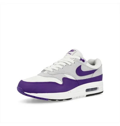 Кроссовки мужские Nike Air Max 1 Sc Grey/Violet DZ4549-101